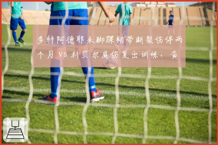 多特阿德耶米脚踝韧带断裂伤停两个月 vs 科贝尔肩伤复出训练，黄黑军团核心位恢复进度两极分化
